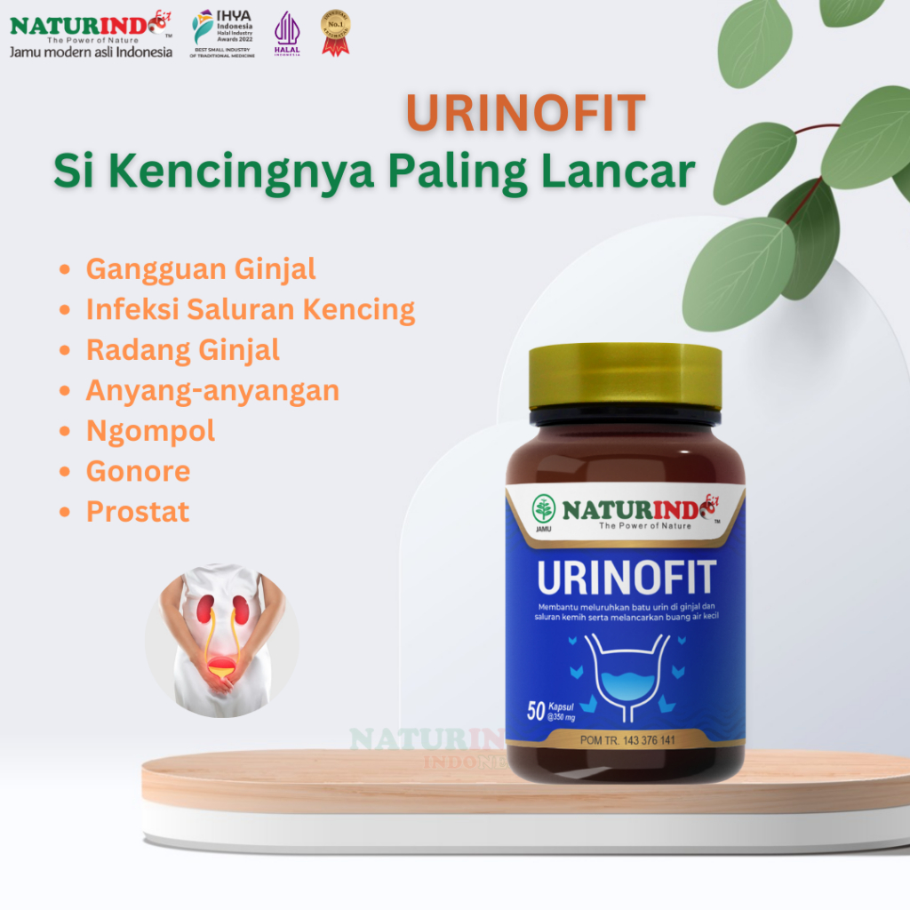 Urinofit (Herbal Alami Special untuk Ginjal)